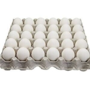 Egg Tray 30 Piece
